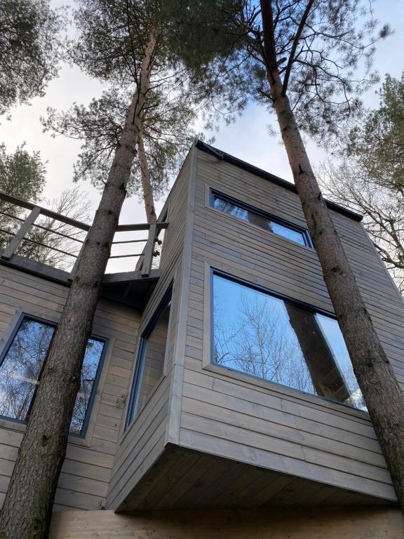 Casa con ventanas grandes entre dos árboles en Domek na drzewie Kryjówka en Kaczory