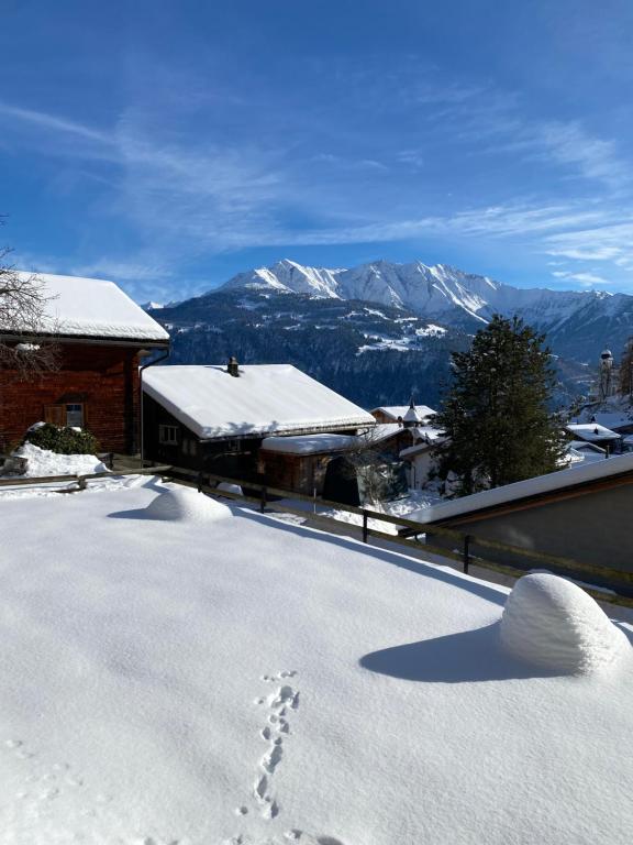 a snow covered roof of a house with footprints in the snow at Casa Plaun Martin in Ruschein