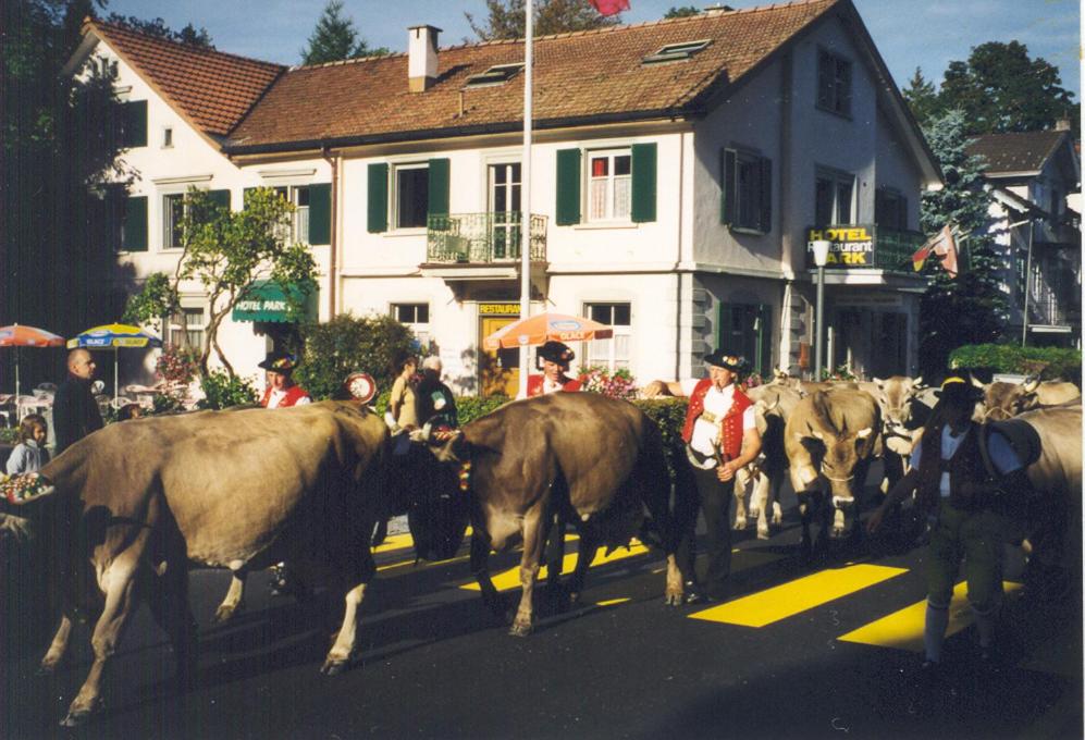 Zvířata v penzionu nebo okolí