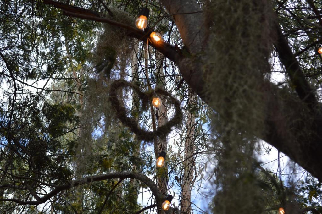 a heart drawn in the branches of a tree with lights at CABAÑA MÁGICA CUCUNUBA in Cucunubá