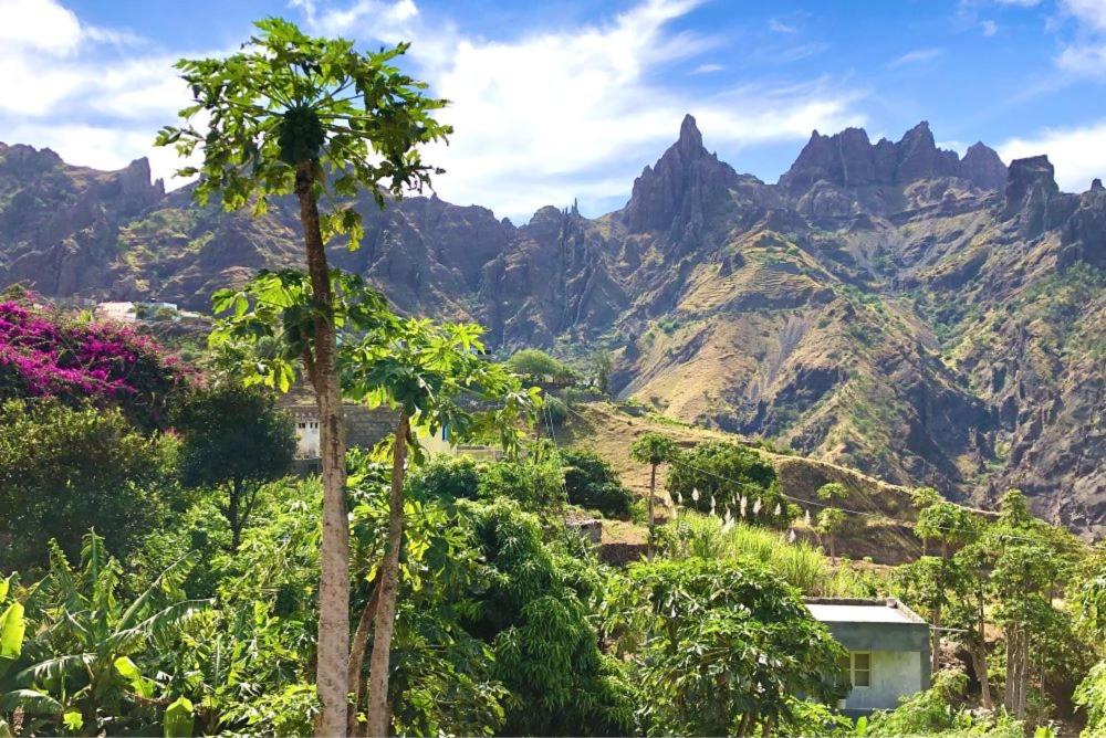 a view of a mountain range with a palm tree at Casa Manuel & Elvira 