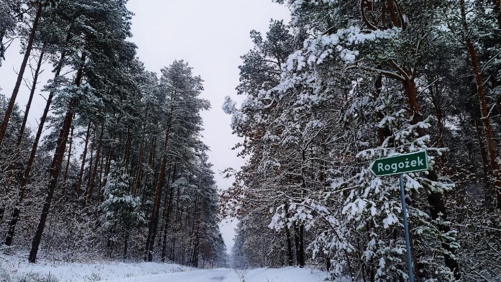 Domki w Dolinie Radomki en invierno