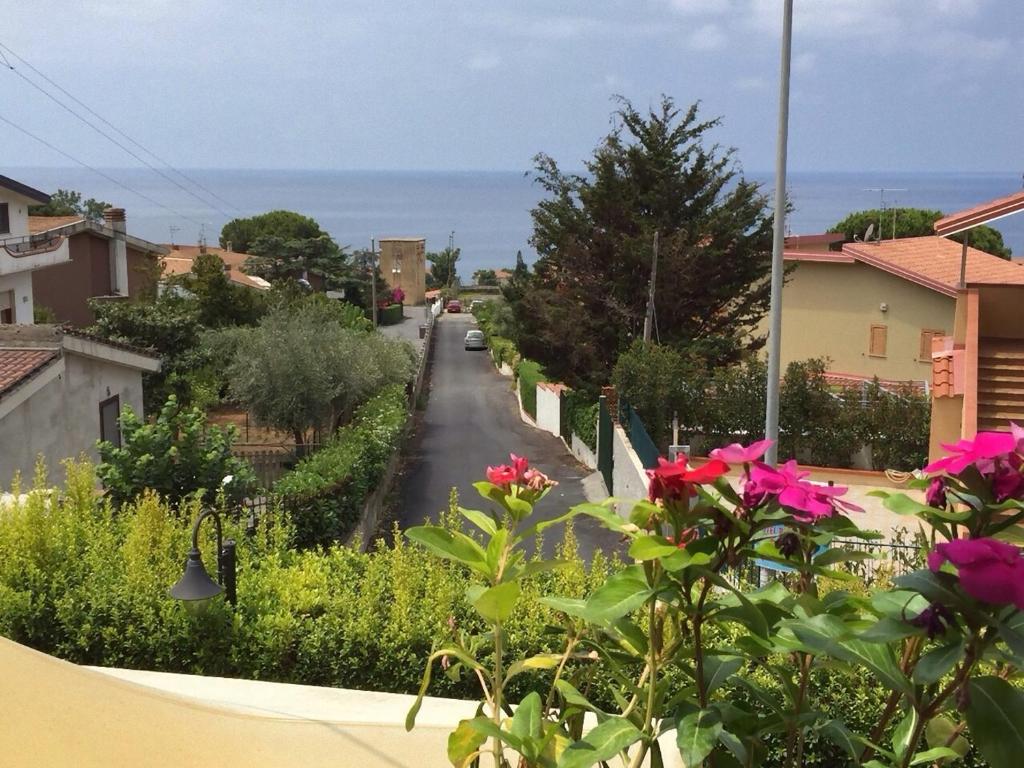 vistas a una calle de una ciudad con flores en Red Stone, en Diamante