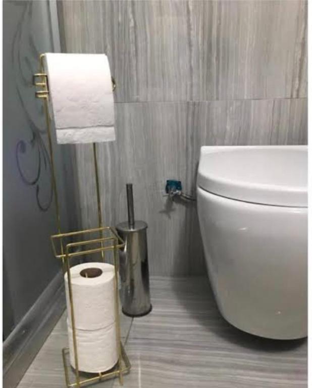 baño con aseo y rollos de papel higiénico en diana apartman en Şekerpınarı