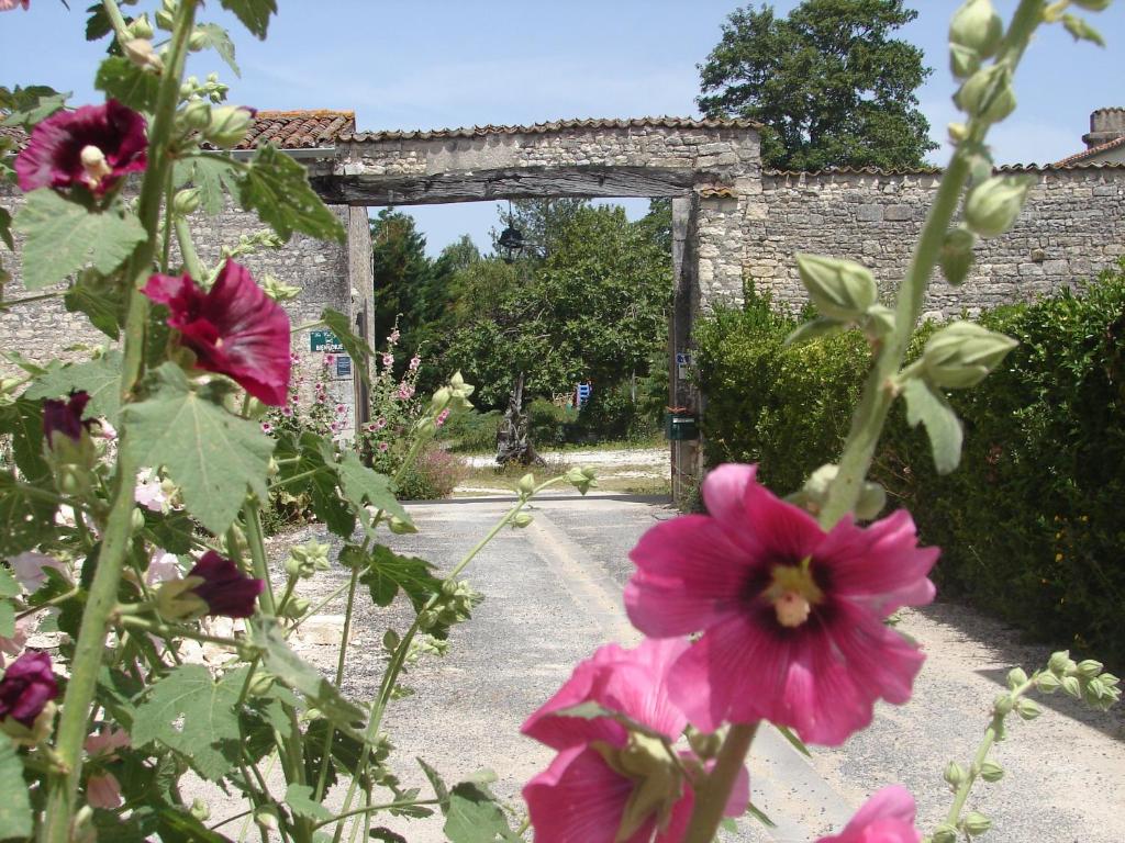 un jardín con flores rosas frente a una puerta de piedra en La Collegiale, en Clavette