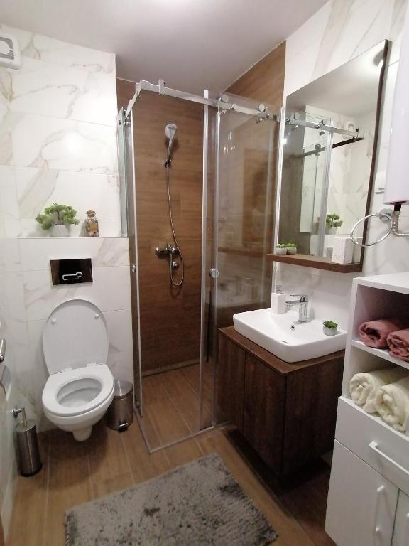 Un baño de Lux Apartman Crni vrh