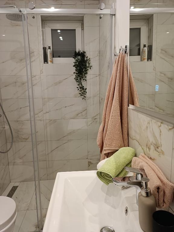 Łazienka w obiekcie Apartman na jezeru