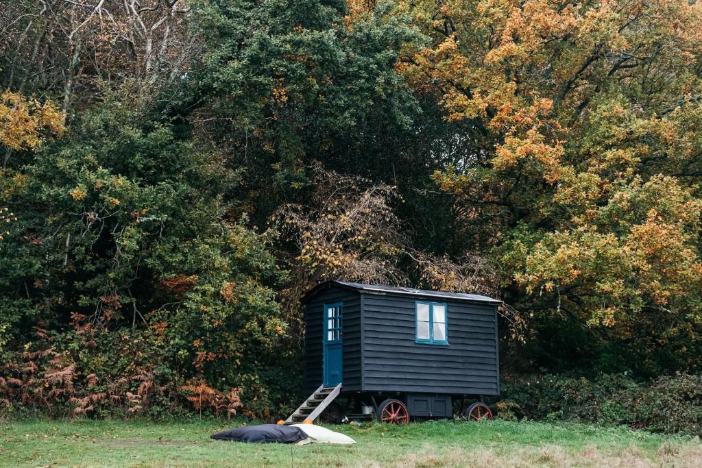 a tiny house sitting in the middle of a field at Beautiful, Secluded Shepherd's Hut in the National Park in Rake