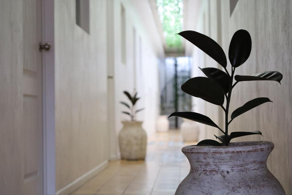 Fotografie z fotogalerie ubytování Hotel Mado v destinaci Jalostotitlán