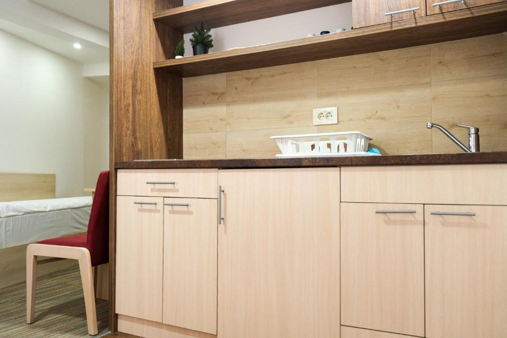 Kuchyň nebo kuchyňský kout v ubytování Apartments Pavle