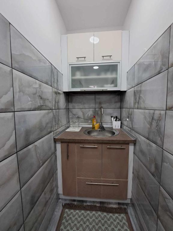 Köök või kööginurk majutusasutuses Apartman Arsić Zajecar
