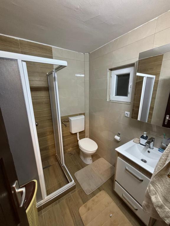y baño con aseo, ducha y lavamanos. en Vujanac vikend kuća en Raška