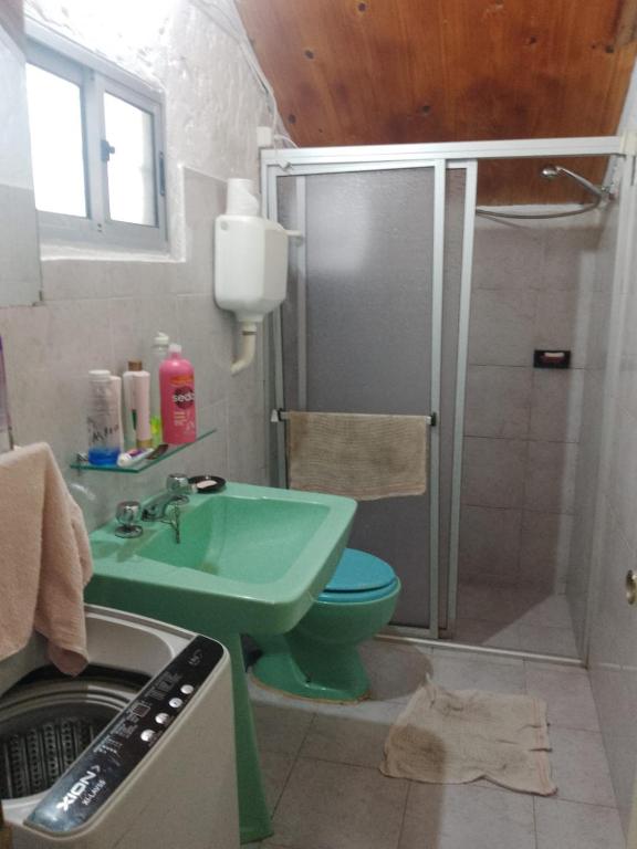 een badkamer met een groene wastafel en een douche bij Alvaro in Aguas Dulces
