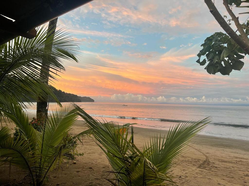 zachód słońca na plaży z palmami i oceanem w obiekcie Posada Brisas del Mar w mieście Bahía Solano