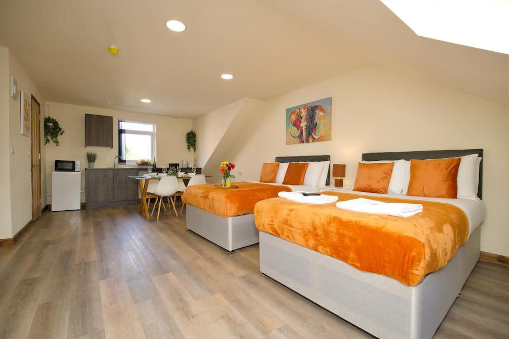 Matlock Studio 6 Coventry, Coventry (updated prices 2024)