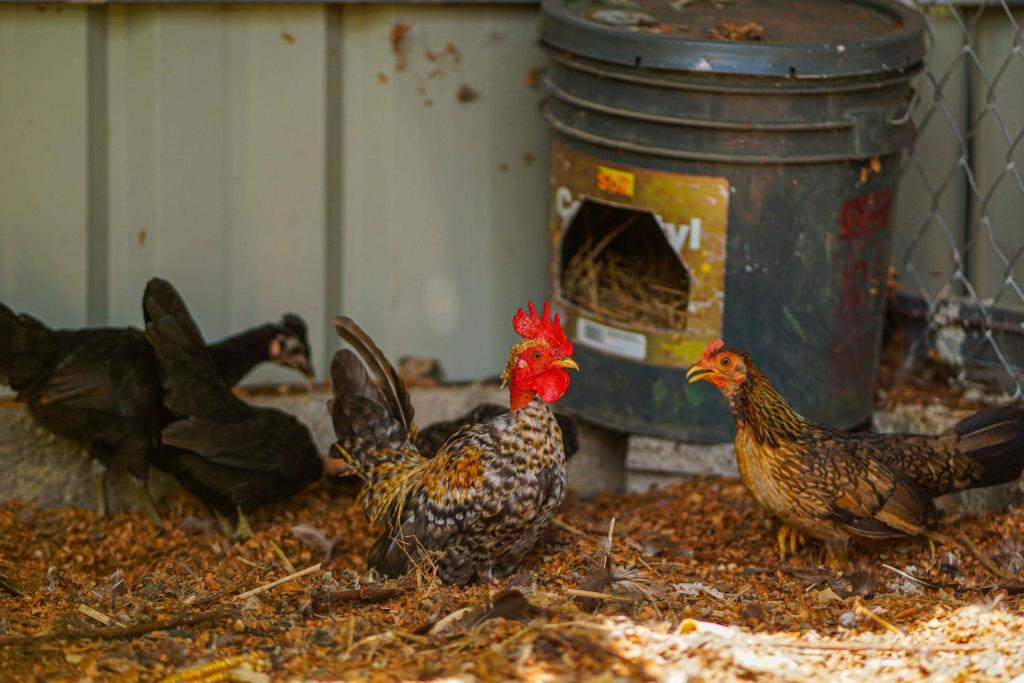 Casa Rancho Verde – Photos 1