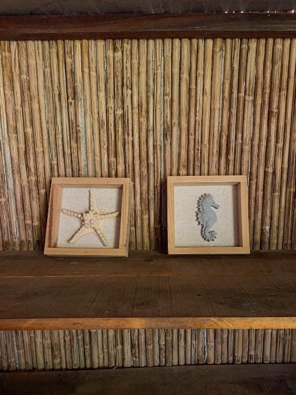 Fotografie z fotogalerie ubytování Hostal Zinpar v destinaci Palomino