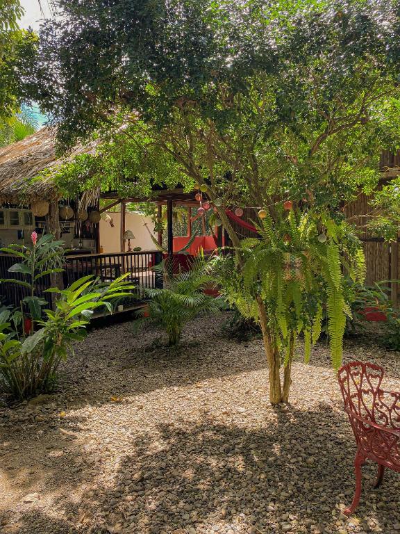 Zahrada ubytování Hostal Zinpar