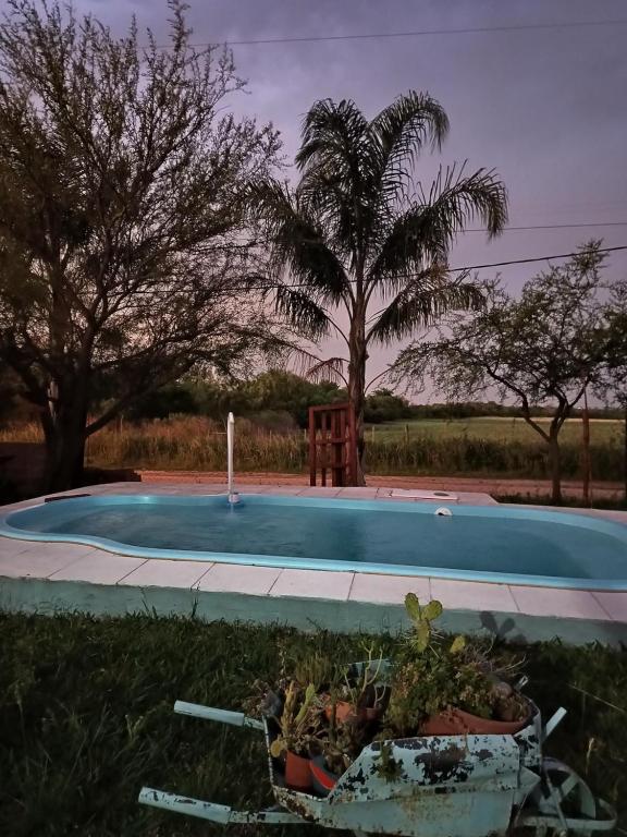 a swimming pool with some plants in front of it at Quinta Homa in Paraná