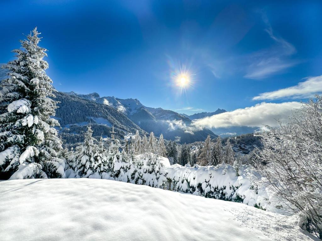 een met sneeuw bedekte boom op de top van een berg bij Sumptuous Chalet with Breathtaking views by GuestLee in Gryon