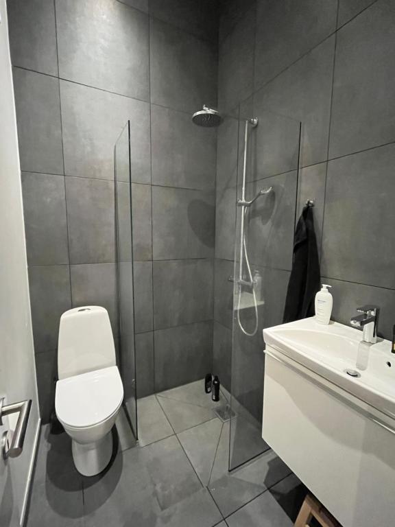 een badkamer met een douche, een toilet en een wastafel bij Ekslusiv lejlighed in Herning