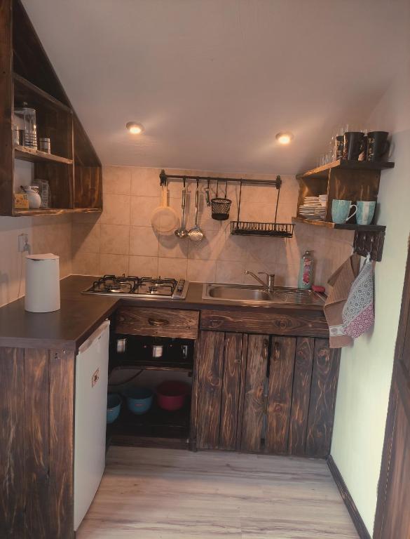 Ostoja nad potokiem Dwernik - Appartement Met één Slaapkamer