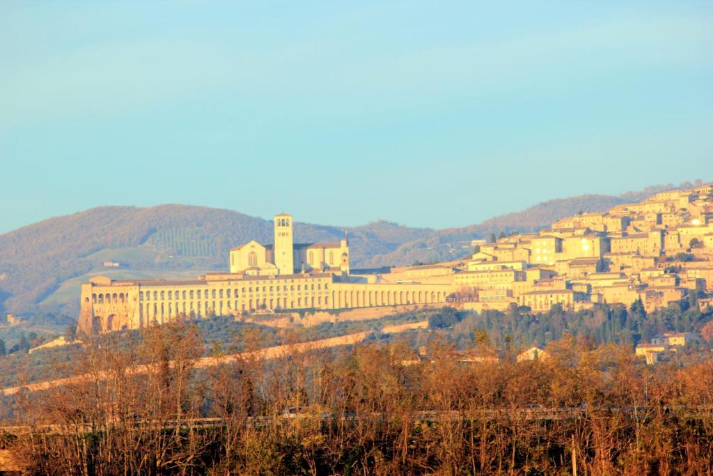 una città in cima a una collina con edifici di B&B Panorama d'Assisi a Santa Maria degli Angeli