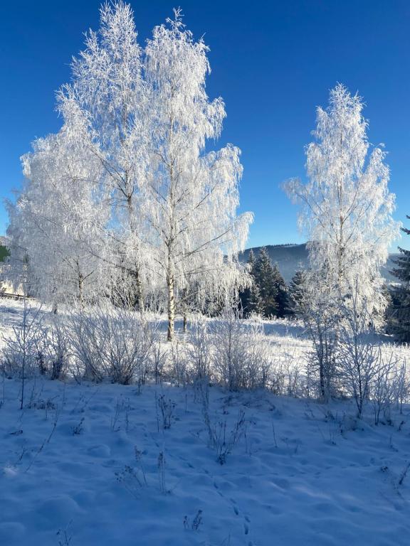 Panorama Karpat v zimě