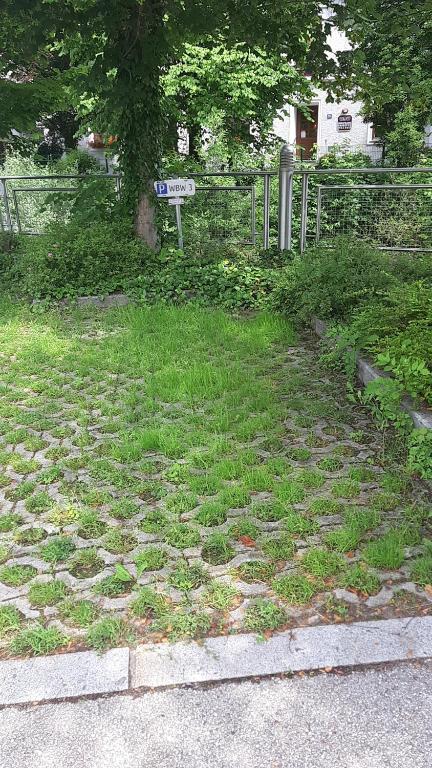 Zahrada ubytování Apartment Welser