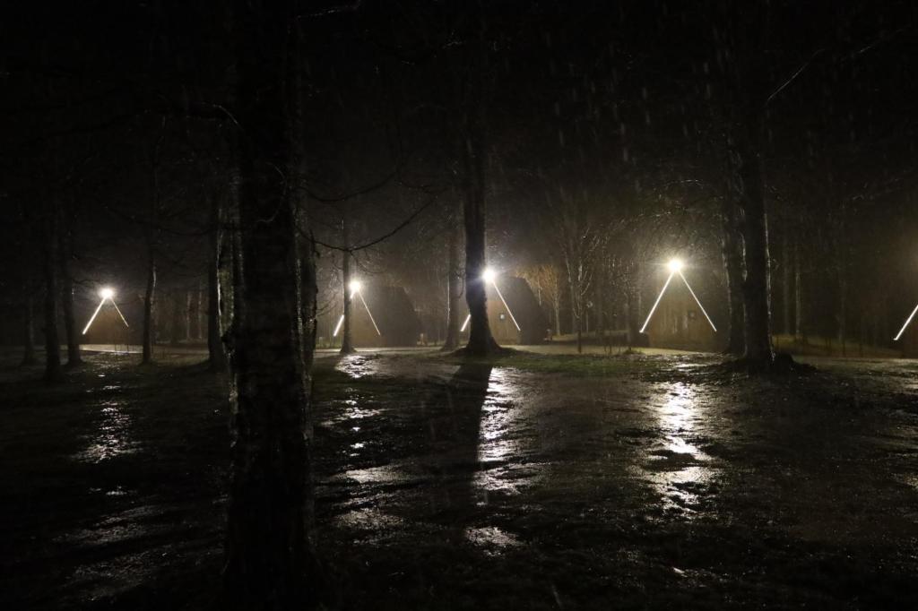 un parque de noche con árboles y luces en ARSLANLAR İTENİÇİ BUNGALOW 