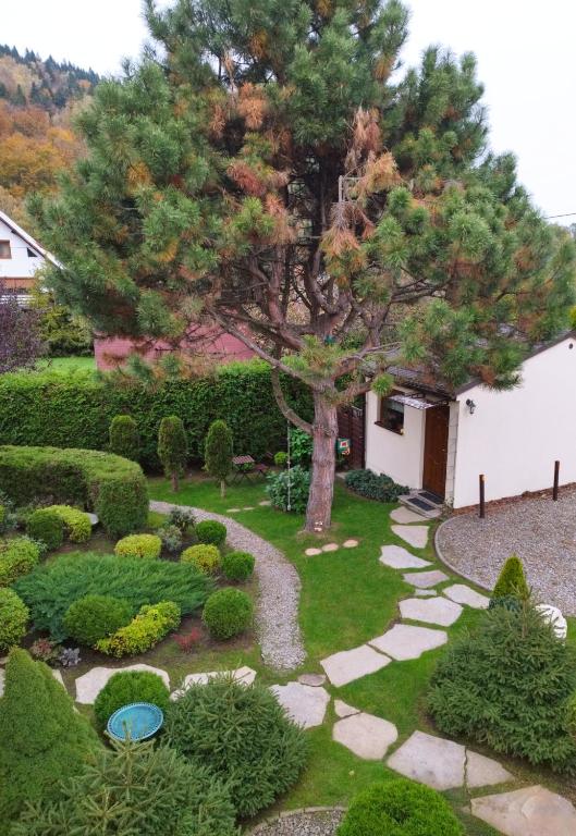 Molonówka Guest House - Chalet