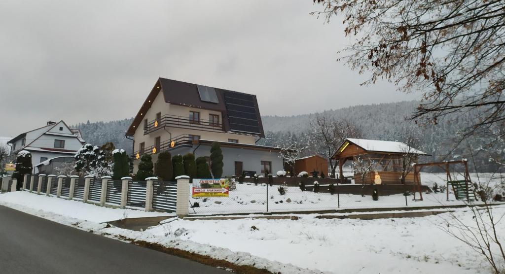 a house with a snow covered yard with a fence at Agrorelax - Kasina Wielka in Kasina Wielka