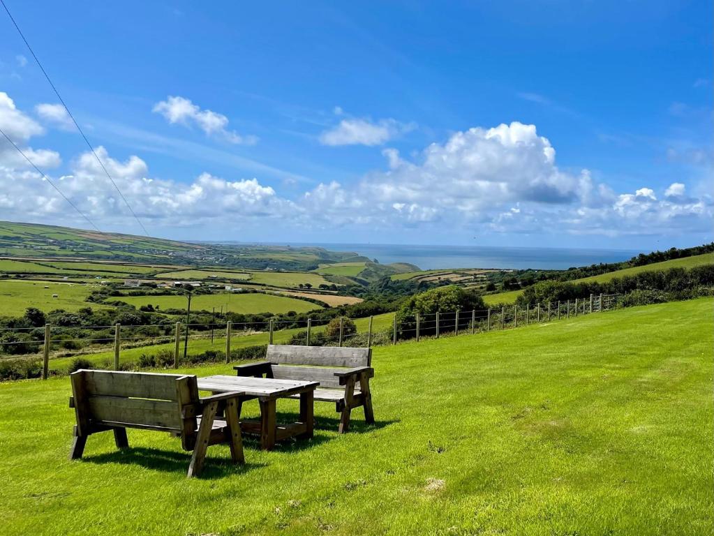 two benches sitting on top of a green field at 1 Bed in Boscastle LPENC in Boscastle