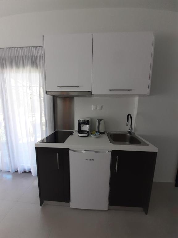 Kuchyň nebo kuchyňský kout v ubytování ACTA Luxury Rooms
