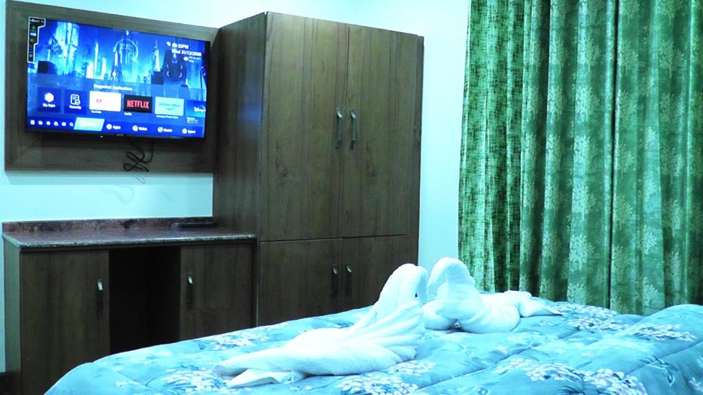 TV a/nebo společenská místnost v ubytování Hotel Jakhu Heights
