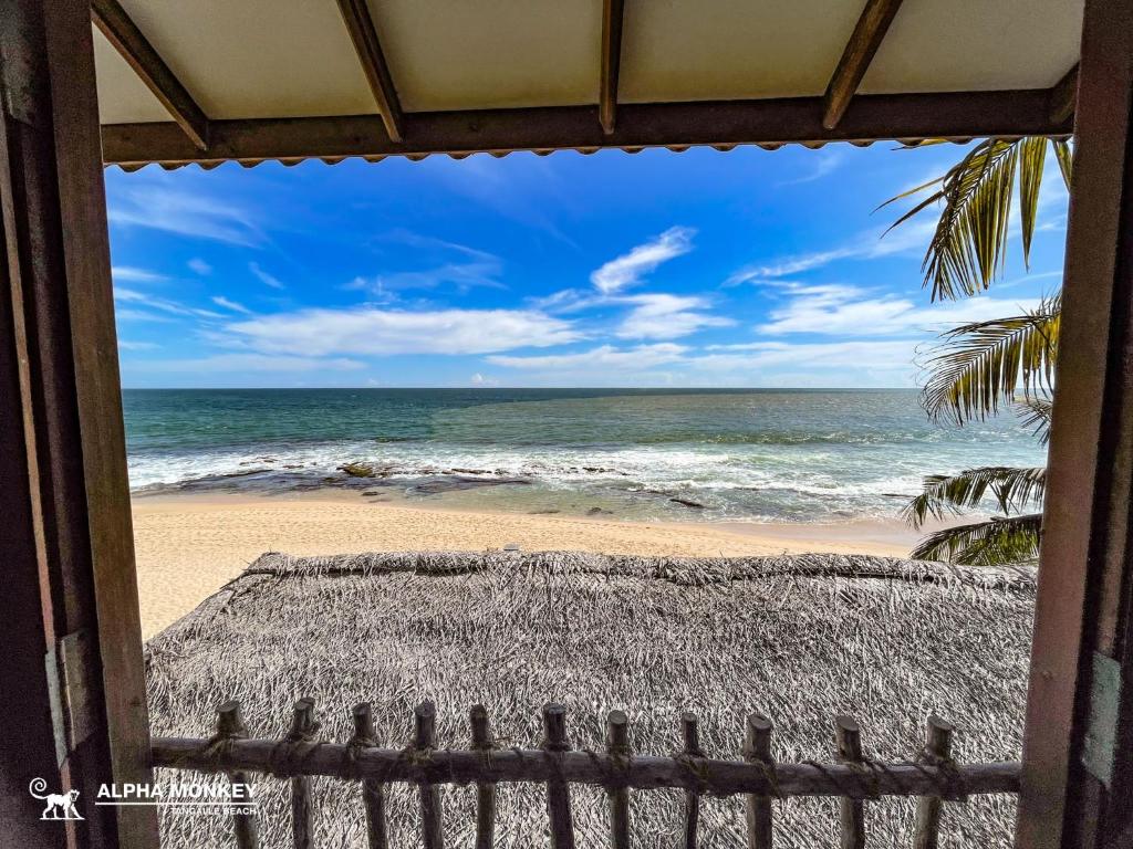 The Alpha Monkey hotel & Tree house - 17