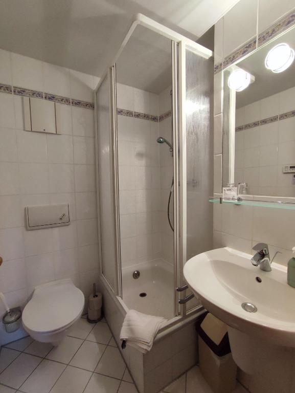 Koupelna v ubytování Auersberg Haus