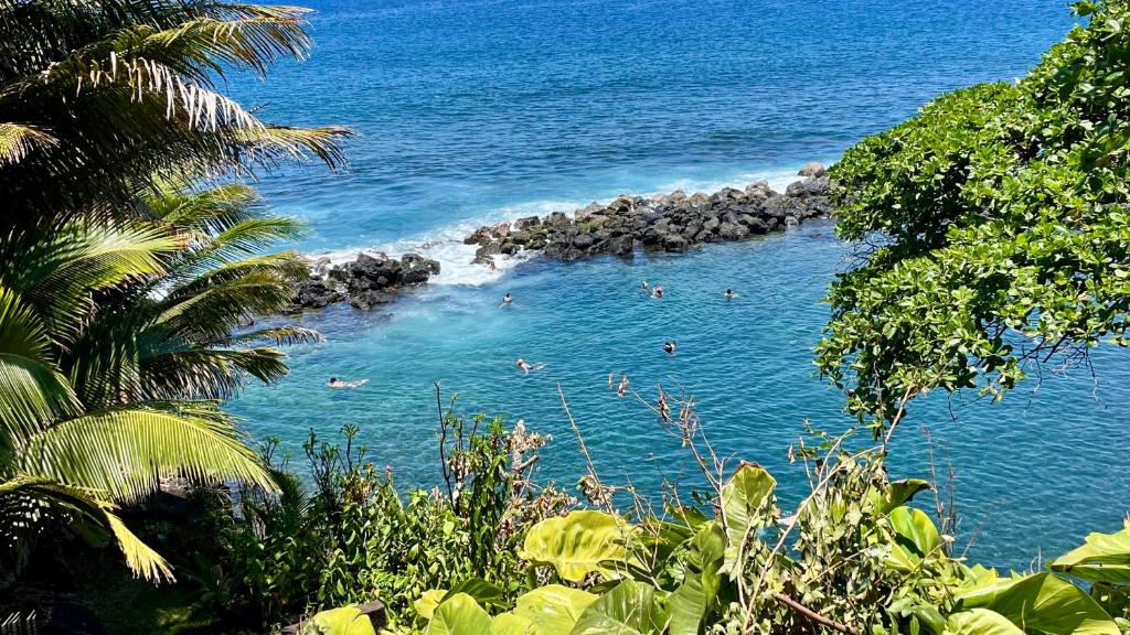 a group of people swimming in the water on a beach at Bungalow Java - Bassin Manapany-Les-Bains in Saint-Joseph