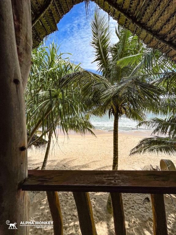 The Alpha Monkey hotel & Tree house - 6