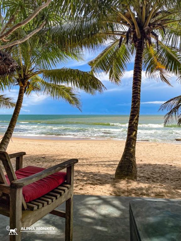 The Alpha Monkey hotel & Tree house - 8