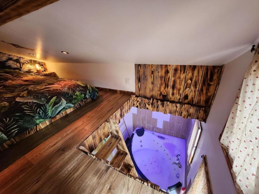 an overhead view of a bedroom with a tub in a room at La cabane de rose in Fresse-sur-Moselle