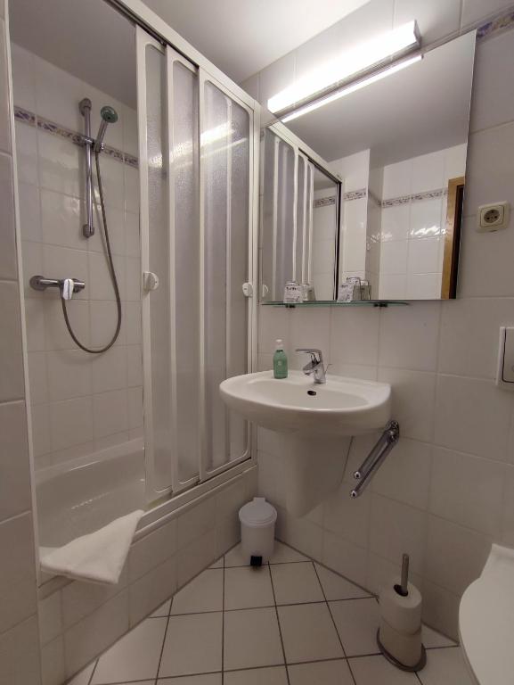 Koupelna v ubytování Auersberg Haus