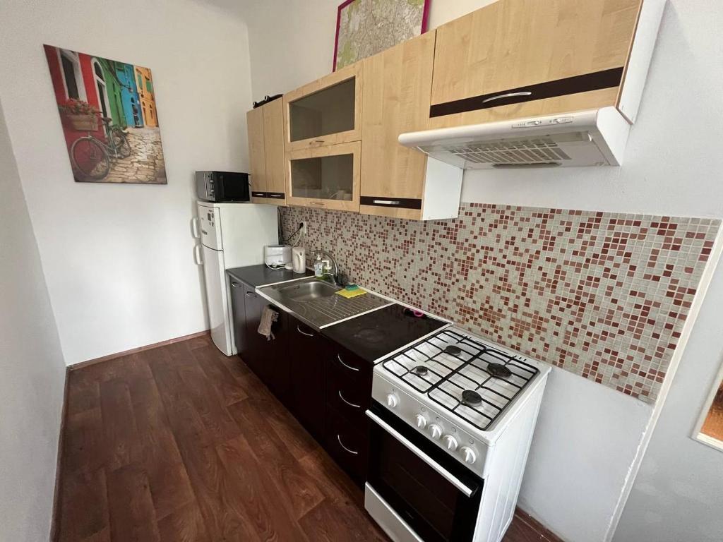 Il comprend une petite cuisine équipée d'une cuisinière et d'un évier. dans l'établissement Apartment Vlhka, à Brno