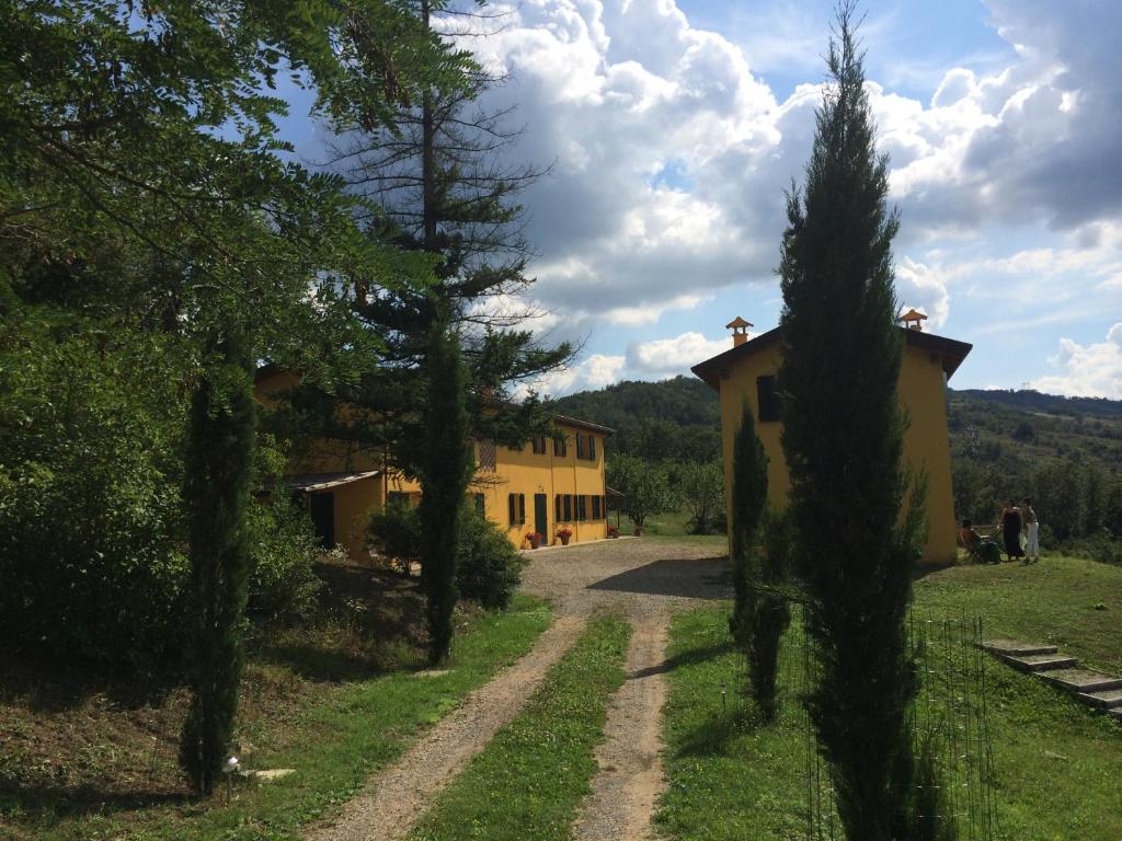 a house in the middle of a field with trees at Casa Ruspiano in Vergato