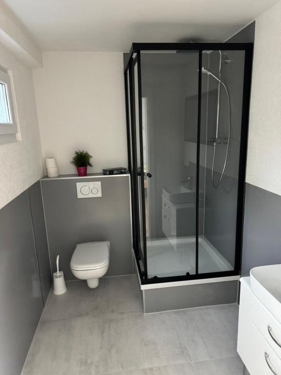 a bathroom with a shower and a toilet at Souterrainwohnung Offenburg in Offenburg
