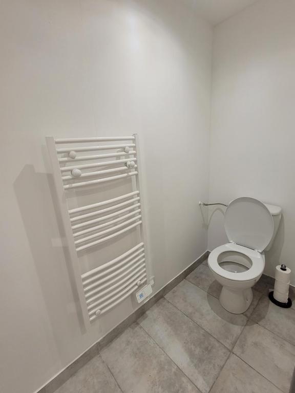 a bathroom with a white toilet in a room at Cosy Studio in Saint-Mitre-les-Remparts