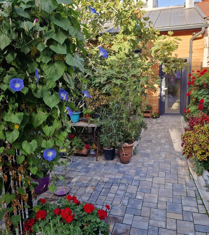 Zahrada ubytování Studio 27