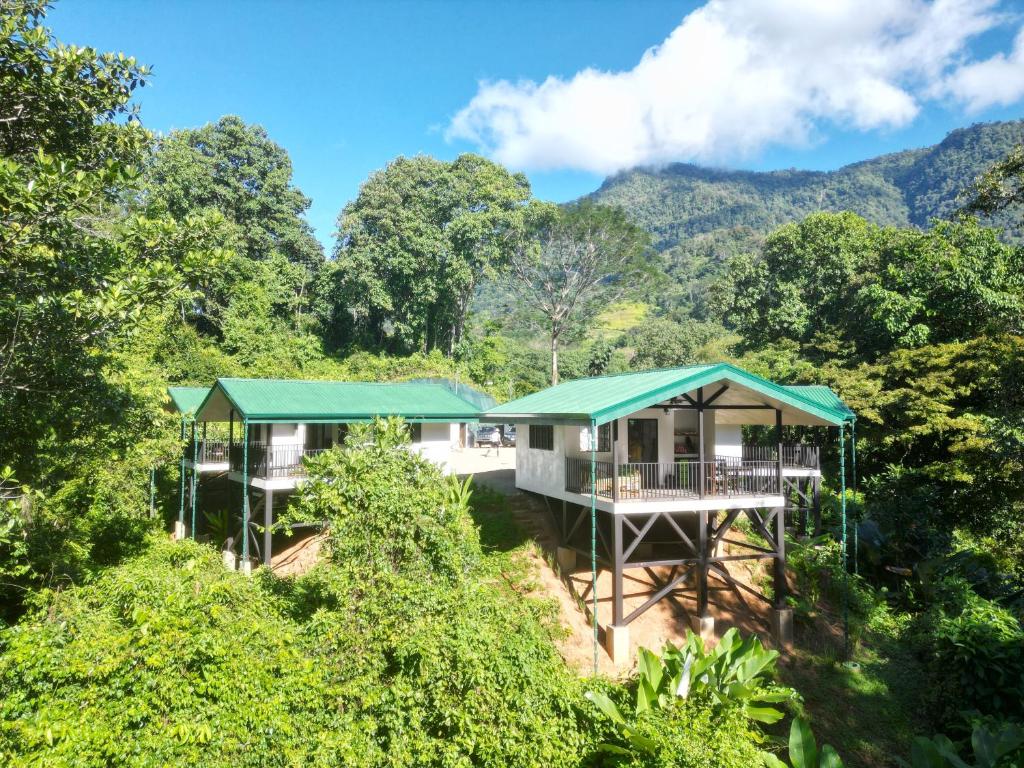 a house in the jungle with mountains in the background at Jungle Passion Lodge in Ojochal