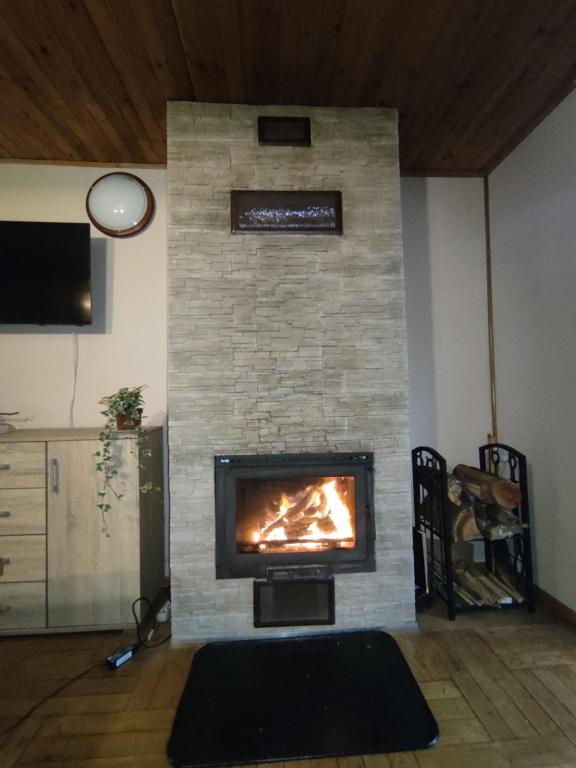 a fireplace in a living room with a fire place at Dom w lesie nad rzeką z komnkiem in Mlądz