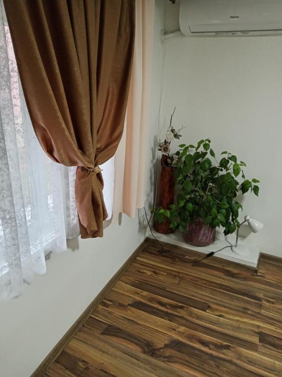Fotografie z fotogalerie ubytování Tića3 v destinaci Laćarak